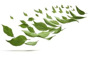 Green basil leaves with Clipping paths, full depth of field. Fresh red basil herb leaves isolated on white background. Purple Dark Opal Basil. Focus stacking, generate ai photo