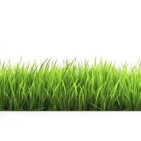 green grass field isolated on white background, generate ai photo