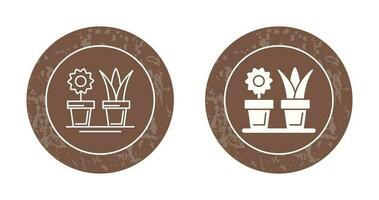 House Plants Vector Icon