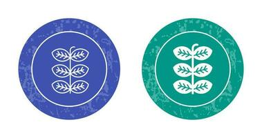 Tobacco Leafs Vector Icon