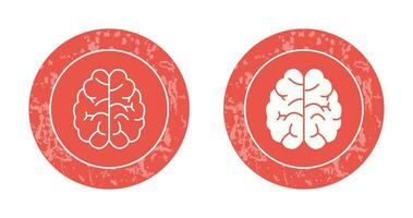 Brain Vector Icon