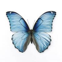 beautiful wings of a blue butterfly isolated on a white background, generate ai photo