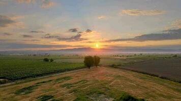 Drohne Aussicht Über Bauernhof Felder beim Sonnenaufgang video