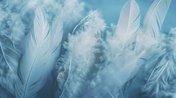 a bright blue background with one white feather, in the style of soft and dreamy pastels, glimmering light effects, nature inspired imagery, fairycore, soft focal points, generate ai photo