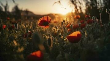 A stunning photo captures the golden hour in a field of radiant red poppies, symbolizing the beauty, resilience, and strength of nature, generate ai