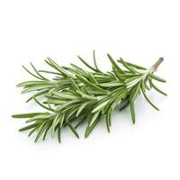 Fresh green organic rosemary leaves and pepper isolated on white background. natural transparent shadow, Ingredient, spice for cooking. collection for design, generate ai photo