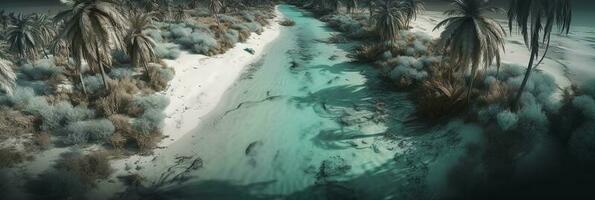 BHanner size. View from above, stunning aerial view of palms on the sandy beach. Tropical landscape, blue water, waves, generate ai photo