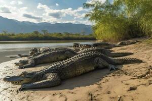 un grupo de cocodrilos broncearse en un orilla del río con montañas en el fondo, generar ai foto