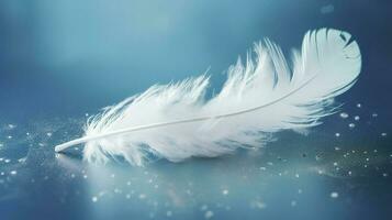 White Feather Stock Photos, Images and Backgrounds for Free Download