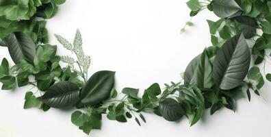 verde planta y hojas marco aislado en blanco fondo, para Boda invitaciones y saludo tarjetas, generar ai foto