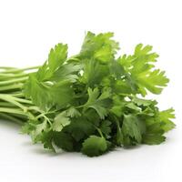 fresh cilantro coriander isolated on white background, generate ai photo