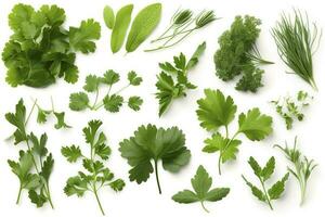 Collection of fresh herb leaves. arugula Spices, herbs on isolated on white background, generate ai photo