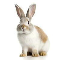 The funny rabbit is standing on its hind legs isolated on white background, generate ai photo