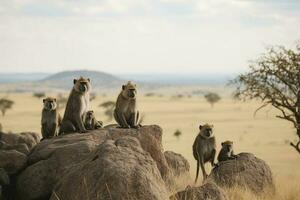 A family of baboons perched on a rocky, generate ai photo