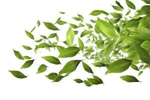 Green basil leaves with Clipping paths, full depth of field. Fresh red basil herb leaves isolated on white background. Purple Dark Opal Basil. Focus stacking, generate ai photo