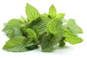 fresh green mint leaves isolated on white background, top view. Flat lay, generate ai photo