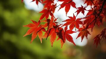 Beautiful autumn landscape with. Colorful foliage in the park. Falling leaves natural background, generate ai photo