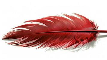 an old red feather which is drawn on a white background, in the style of light red and light pink, sketchfab, transparent translucent medium, bold colours, generat ai photo