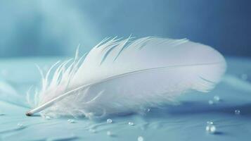 a bright blue background with one white feather, in the style of soft and dreamy pastels, glimmering light effects, nature inspired imagery, fairycore, soft focal points, generate ai photo