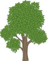 árbol planta ecología aislado icono vector ilustración diseño