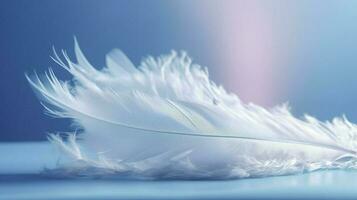 a bright blue background with one white feather, in the style of soft and dreamy pastels, glimmering light effects, nature inspired imagery, fairycore, soft focal points, generate ai photo