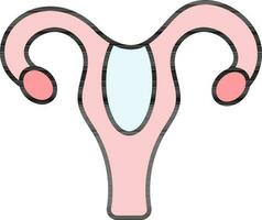 Uterus Icon In Blue And Pink Color. vector