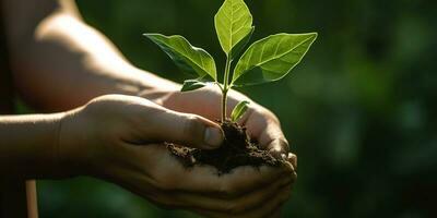 un niño participación un planta en su manos con un verde antecedentes y luz de sol brillante mediante el hojas en el planta, generar ai foto