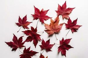 red maple leaves isolated on white background, generate ai photo