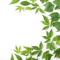 Collection of fresh herb leaves. arugula Spices, herbs on isolated on white background, generate ai photo