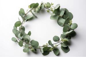 Wreath made of eucalyptus branches. Green floral frame made of eucalyptus leaves. Decorative wreath isolated on white. Minimal natural composition, botanical design, flat lay, top view. photo