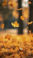 Flying fall maple leaves on autumn background. Falling leaves, seasonal banner with autumn foliage, generate ai photo