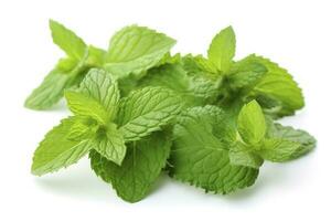 fresh green mint leaves isolated on white background, top view. Flat lay, generate ai photo