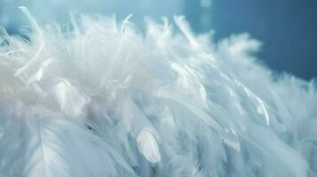 a bright blue background with one white feather, in the style of soft and dreamy pastels, glimmering light effects, nature inspired imagery, fairycore, soft focal points, generate ai photo