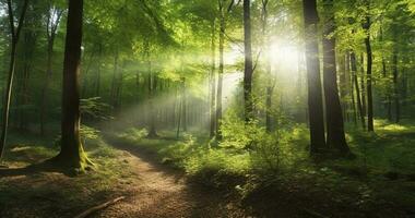 Beautiful rays of sunlight in a green forest, generate ai photo