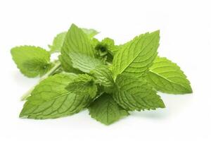 fresh green mint leaves isolated on white background, top view. Flat lay, generate ai photo
