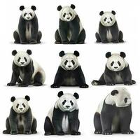 Panda isolated on white background, generate ai photo