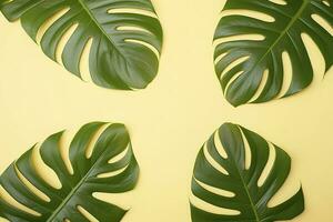 hermosa tropical palma monstera hojas rama aislado en pastel amarillo fondo, parte superior vista, plano poner, gastos generales encima verano belleza blanco diseño concepto , generar ai foto