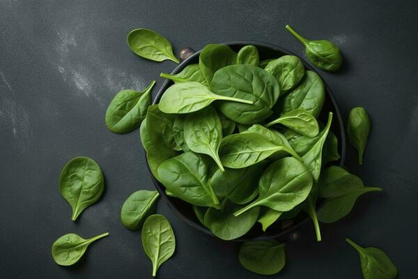 Spinach Bowl Stock Photos, Images and Backgrounds for Free Download