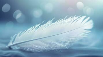 a bright blue background with one white feather, in the style of soft and dreamy pastels, glimmering light effects, nature inspired imagery, fairycore, soft focal points, generate ai photo