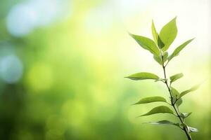 World Environment Day concept, green tree leaves on blurred background, generate ai photo