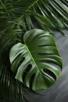 Tropical palm monstera leaves isolated on gray table background. , generate ai photo