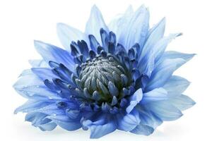 Blue flower isolated on white background, png with transparency , generate ai photo