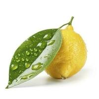 Citrus Lemon leaf with water drops isolated on white background, generate ai photo
