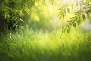 Natural green defocused spring summer blurred background with sunshine. Juicy young grass and foliage on nature in rays of sunlight, scenic framing, copy space photo