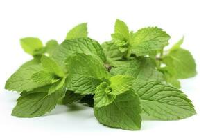 fresh green mint leaves isolated on white background, top view. Flat lay, generate ai photo