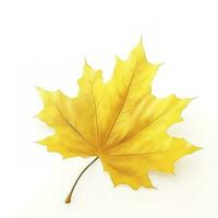 yellow maple leaf leaves on white background, generate ai photo