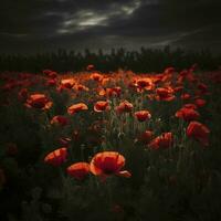 Dramatic Poppy flowers field. Anzac day banner. Remember for Anzac, Historic war memory. Anzac background. Poppy field, Remembrance day. , generate ai photo