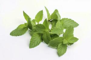 fresh green mint leaves isolated on white background, top view. Flat lay, generate ai photo