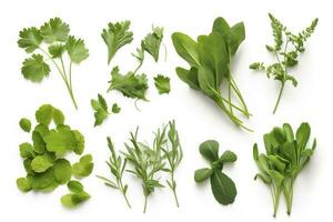 Collection of fresh herb leaves. arugula Spices, herbs on isolated on white background, generate ai photo