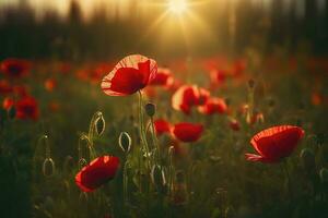 Anzac Day memorial poppies. Field of red poppy flowers to honour fallen veterans soldiers in battle of Anzac armistice day. Wildflowers blooming poppy field landscape, generate ai photo